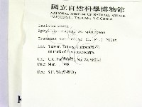 雲芝藏品圖，第2張