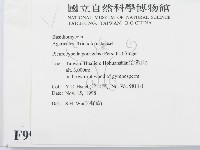 登錄號:F0009995藏品圖，第2張