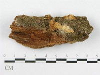 登錄號:F0009995藏品圖，第1張