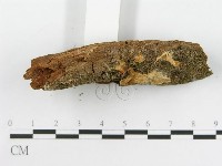 登錄號:F0009995藏品圖，第3張