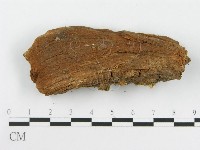 登錄號:F0009995藏品圖，第4張