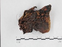 登錄號:F0009996藏品圖，第1張
