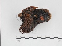 登錄號:F0009996藏品圖，第3張