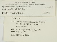 登錄號:F0009998藏品圖，第2張