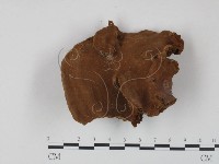 登錄號:F0009998藏品圖，第3張