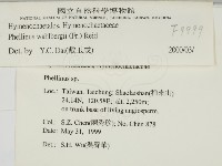 登錄號:F0009999藏品圖，第2張