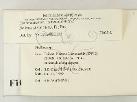 登錄號:F0010000藏品圖，第2張