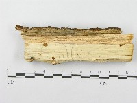 登錄號:F0010000藏品圖，第4張