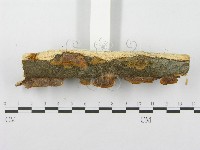 登錄號:F0010000藏品圖，第6張