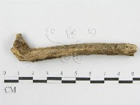 登錄號:F0010002藏品圖，第4張