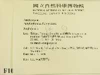 登錄號:F0010003藏品圖，第2張