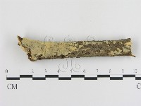 登錄號:F0010003藏品圖，第1張