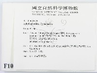 登錄號:F0010004藏品圖，第2張