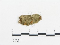 登錄號:F0010004藏品圖，第1張