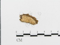 登錄號:F0010004藏品圖，第3張