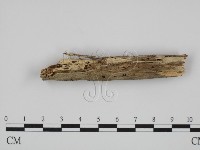 登錄號:F0010005藏品圖，第3張