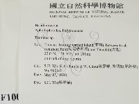 栓菌屬藏品圖，第2張