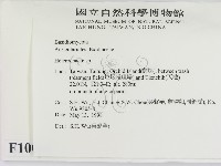 刺皮菌屬藏品圖，第2張