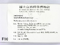 登錄號:F0010009藏品圖，第2張