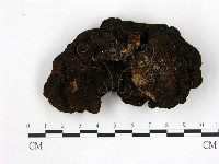 登錄號:F0010009藏品圖，第3張