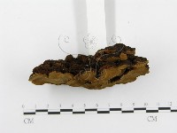 登錄號:F0010009藏品圖，第4張