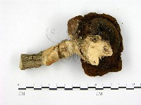 登錄號:F0010010藏品圖，第3張