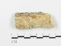 登錄號:F0010011藏品圖，第1張