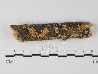 登錄號:F0010013藏品圖，第1張