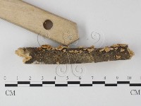 登錄號:F0010013藏品圖，第3張