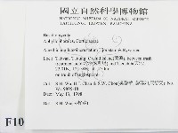登錄號:F0010016藏品圖，第2張