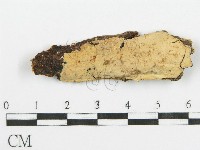 登錄號:F0010016藏品圖，第1張