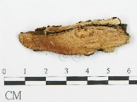 登錄號:F0010016藏品圖，第3張