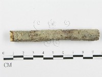 登錄號:F0010017藏品圖，第1張