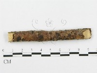 登錄號:F0010017藏品圖，第4張