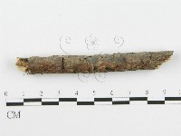 登錄號:F0010017藏品圖，第5張