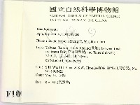 登錄號:F0010020藏品圖，第2張