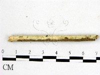 登錄號:F0010020藏品圖，第1張