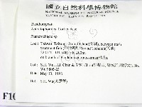 顯絲菌屬藏品圖，第2張