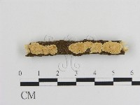 登錄號:F0010022藏品圖，第1張