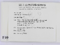 登錄號:F0010023藏品圖，第2張