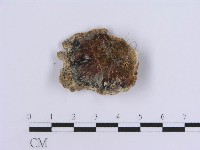 登錄號:F0010023藏品圖，第1張
