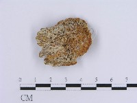 登錄號:F0010023藏品圖，第3張