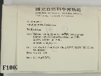 登錄號:F0010024藏品圖，第2張