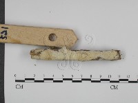 登錄號:F0010024藏品圖，第3張