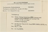 登錄號:F0010024藏品圖，第5張