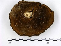 登錄號:F0010025藏品圖，第3張