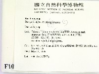 花耳屬藏品圖，第2張