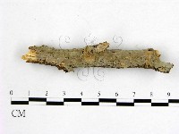 登錄號:F0010028藏品圖，第1張