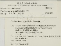 登錄號:F0010029藏品圖，第2張