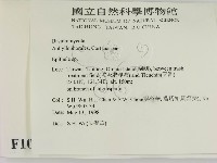 登錄號:F0010032藏品圖，第2張